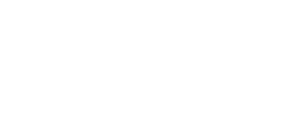 fifa